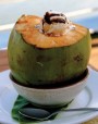 Desert traditional