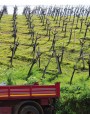 Escapada turistica in Sicilia
