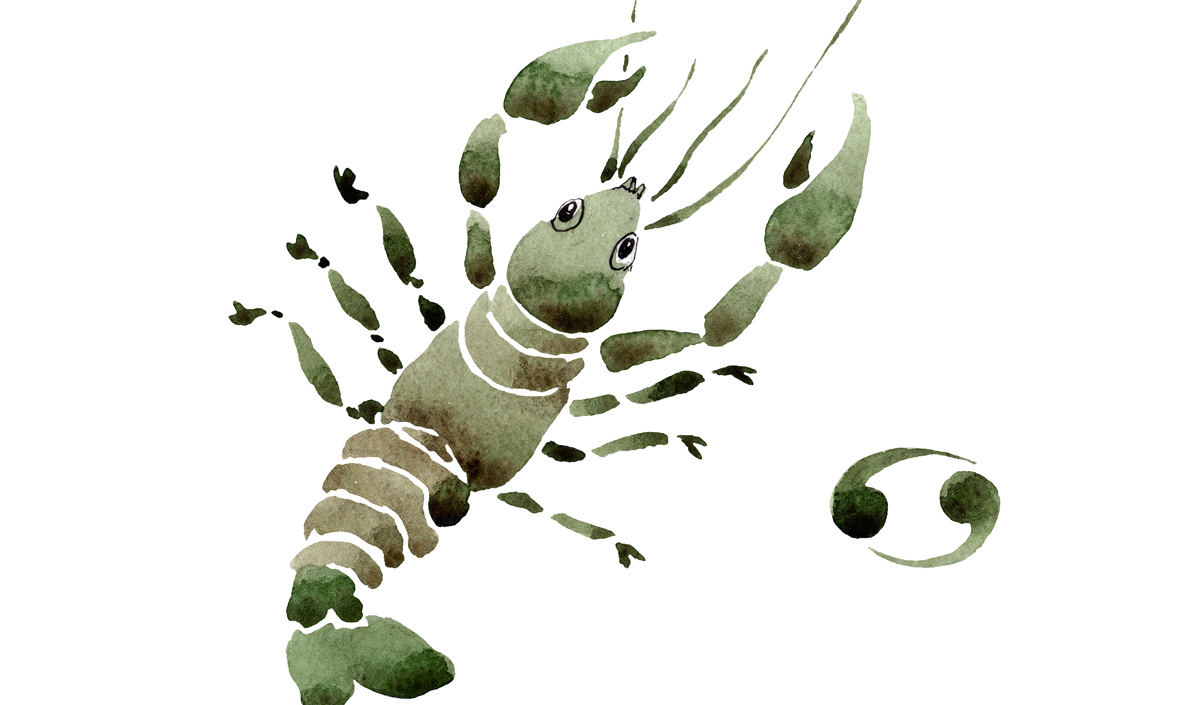 Horoscop anual 2026 Rac. Previziuni pentru zodia Rac, în 2026 - Elle.ro